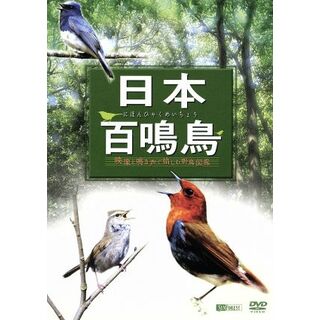 日本百鳴鳥／映像と鳴き声で愉しむ野鳥図鑑(趣味/実用)