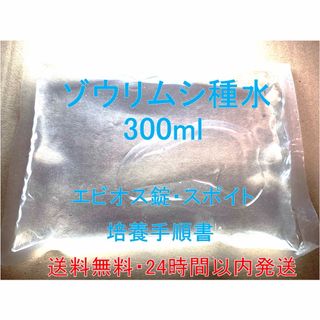 ゾウリムシ300ml 培養用エビオス錠・餌やりスポイト・培養手順書つき