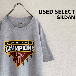 GILDAN - 古着 “GILDAN” PANTHERS Baseball T-shirt