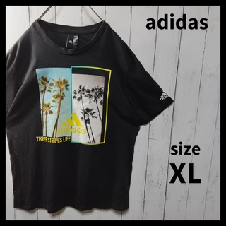 アディダス(adidas)の【adidas】Square Photo Print Tee(Tシャツ/カットソー(半袖/袖なし))