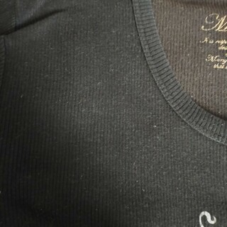 tシャツ 黒(Tシャツ/カットソー(半袖/袖なし))
