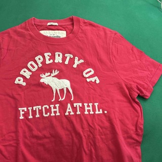Abercrombie&Fitch - アバクロ　Tシャツ　Lサイズ　ピンク
