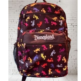 Disney - 貴重！アメリカディズニー購入品🇺🇸リュックサック バックパック