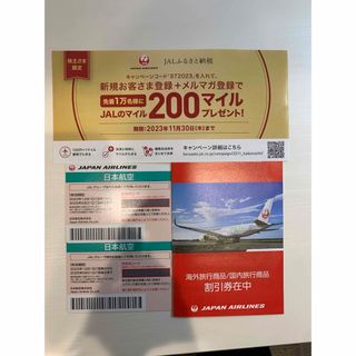 ジャル(ニホンコウクウ)(JAL(日本航空))のJAL株主優待券　2枚(航空券)