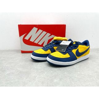 ナイキ(NIKE)のNIKE（ナイキ）TERMINATOR LOW OG ターミネーター ロー ミシガン FJ4206-700-28.0cm【B0478-007】(スニーカー)