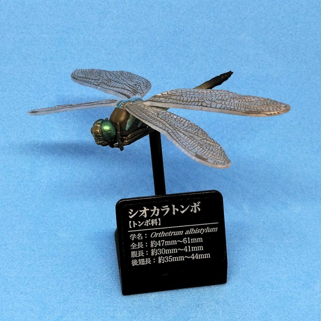 T-ARTS - 原色図鑑シリーズ 日本のトンボ オニヤンマ T-ARTS - 原色図鑑シリーズ 日本のトンボ オニヤンマ