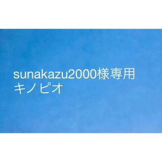 ユニバーサルスタジオジャパン(USJ)のsunakazu2000様専用　キノピオ(その他)