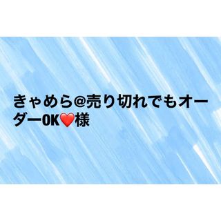 きゃめら@売り切れでもオーダーOK❤️様 (ノート/メモ帳/ふせん)