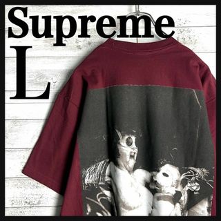 シュプリーム(Supreme)の8829【人気カラー】シュプリーム☆希少デザイン半袖tシャツ　ワンポイント　美品(Tシャツ/カットソー(半袖/袖なし))