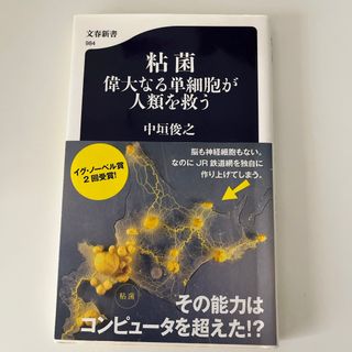 文春文庫 - 【一部書き込みあり】 粘菌/ 偉大なる単細胞が人類を救う　中垣俊之