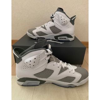 エアジョーダンAJ6 レトロ　29cm(スニーカー)