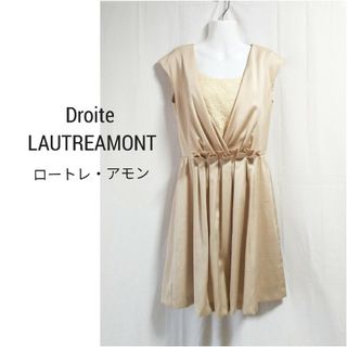 ドロワットロートレアモン(Droite lautreamont)のDroite LAUTREAMONT ドロワットロートレアモン ワンピース(ひざ丈ワンピース)