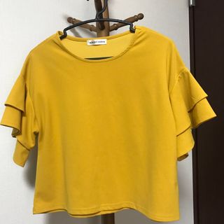 HEALTHY KAREN  トップス　カットソー フリル袖　ヘルシーカレン(カットソー(半袖/袖なし))