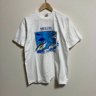 FRUIT OF THE LOOM - 90s USA製 フルーツオブザルーム Tシャツ 古着 メンズ シングル 魚 L