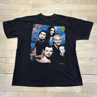 Red Hot Chili Peppers バンドTシャツ/USED/古着(Tシャツ/カットソー(半袖/袖なし))