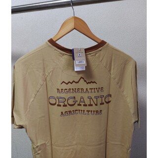 パタゴニア(patagonia)のパタゴニア　ロードリジェナブル　ラグラン　tシャツ(Tシャツ/カットソー(半袖/袖なし))