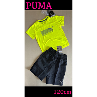 プーマ(PUMA)の新品タグ付き　120㎝  PUMAプーマ上下セットアップ　イエロー×ブラック(Tシャツ/カットソー)