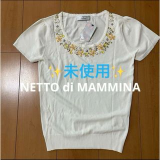 ネットディマミーナ(NETTO di MAMMINA)の✨ 未使用 ✨ ネットディマミーナ サマーセーター 半袖38 M 夏(カットソー(半袖/袖なし))