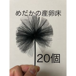 【めだか産卵床20個（チュール生地黒）の商品】