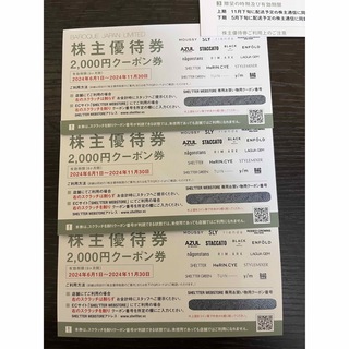 バロックジャパンリミテッド優待券　6000円分