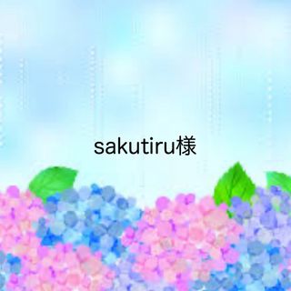 sakutiru様☆専用ページ(その他)