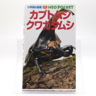 ショウガクカン(小学館)のカブトムシ・クワガタムシ(絵本/児童書)