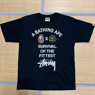 アベイシングエイプ(A BATHING APE)のAPE BAPE KAWS STUSSY tee tシャツ　Camo  M 迷彩(Tシャツ/カットソー(半袖/袖なし))