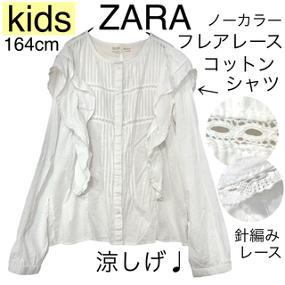 ZARA - ZARAザラ/フレアノーカラーコットンシャツブラウスkids164cm薄手透け感
