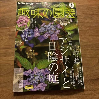 【最新号】NHK 趣味の園芸 2024年 06月号 [雑誌]