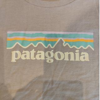 パタゴニア(patagonia)のPatagonia　パタゴニア　Ｔシャツ(Tシャツ(半袖/袖なし))