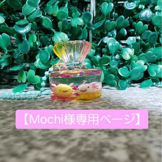 【専用ページ】Mochi様専用(チャーム)