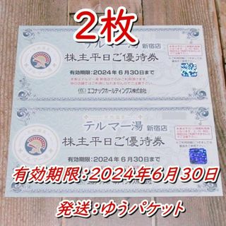 エコナック 株主優待券 テルマー湯平日12時間利用券２枚◆24/6/30迄a(その他)