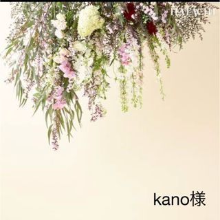 kano様(化粧水/ローション)