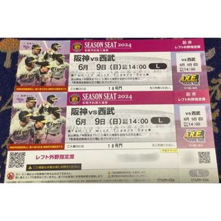 ハンシンタイガース(阪神タイガース)の【プロ野球】６月9日（日）阪神 vs 西武　レフト外野指定 ペアチケット(野球)