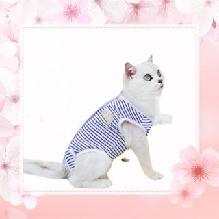 猫術後服　Lサイズ　ブルー　エリザベス(猫)