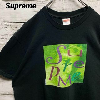 シュプリーム(Supreme)のa62【即完売モデル】シュプリーム　最高デザイン　定番カラー　半袖Tシャツ(Tシャツ/カットソー(半袖/袖なし))