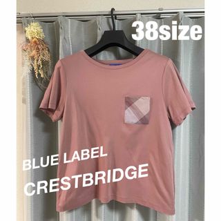 ブルーレーベルクレストブリッジ(BLUE LABEL CRESTBRIDGE)の💖美品BLUE LABEL CRESTBRIDGEピンクポケットＴシャツ💖(Tシャツ/カットソー(半袖/袖なし))