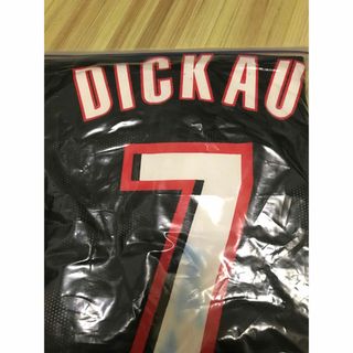 dicau jersey PORTLAND(ジャージ)