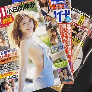 週刊文春 5/23  週刊ポスト 5/ 24  週刊現代 5/25 フライデー (ビジネス/経済/投資)