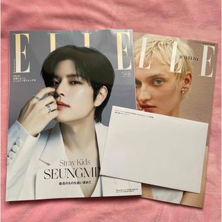 ストレイキッズ(Stray Kids)のELLE エルジャポン　７月号　straykids スンミン　スキズ　特典(ファッション)