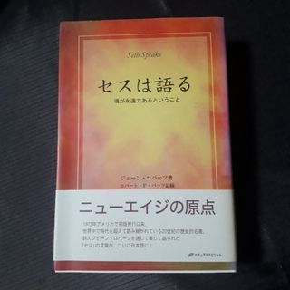 セスは語る  魂が永遠であるということ(人文/社会)