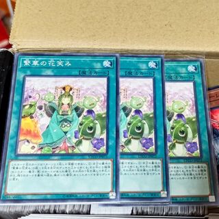 ユウギオウ(遊戯王)の遊戯王 繁華の花笑み 3枚売場名：#WETA遊戯王(シングルカード)