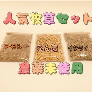 小動物、猫草、イタリアンライグラス、チモシー、うさぎ、モルモット、デグー(小動物)