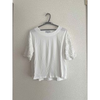 半袖カットソー、TシャツMサイズ(カットソー(半袖/袖なし))