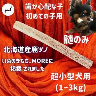 【パピーも大丈夫】超小型犬用　髄のみ　歯が心配、鹿の角初めて　犬のおもちゃ(犬)