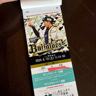 定価以下 6/15 ヤクルトvsオリックスバファローズ(野球)