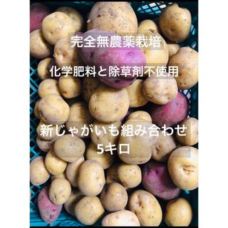 新鮮無農薬栽培　香川県産　新じゃがいも組み合わせ5キロ