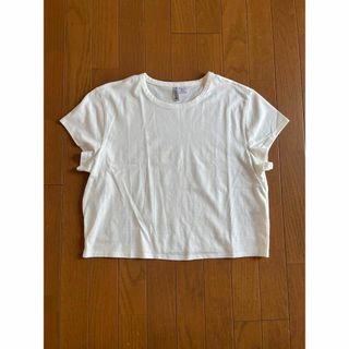 エイチアンドエム(H&M)の◎39 【新品】H&M ショートスリーブ Tシャツ Lサイズ(Tシャツ(半袖/袖なし))