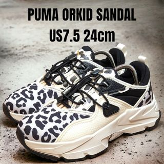 プーマ(PUMA)のPUMA ORKID SANDAL プーマ オーキッド 24cm アニマル柄(スニーカー)