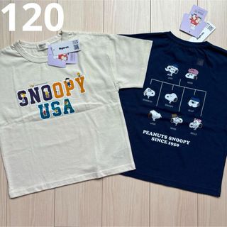 スヌーピー(SNOOPY)の【スヌーピー】ライトオン キャラクター Tシャツ ベージュ 紺 セット 120(Tシャツ/カットソー)